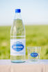 Afbeeldingen van Ginstberg Plat 6x1l